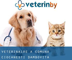 vétérinaire à Comuna Ciocăneşti (Dâmboviţa)