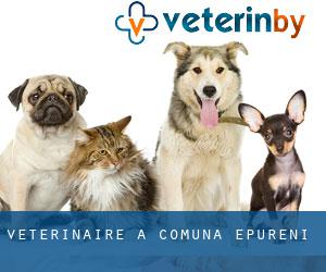 vétérinaire à Comuna Epureni