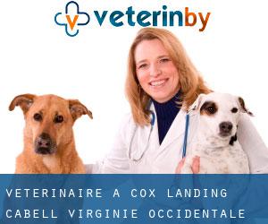 vétérinaire à Cox Landing (Cabell, Virginie-Occidentale)