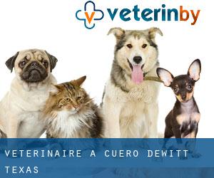 vétérinaire à Cuero (DeWitt, Texas)