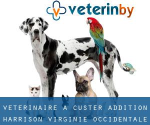 vétérinaire à Custer Addition (Harrison, Virginie-Occidentale)
