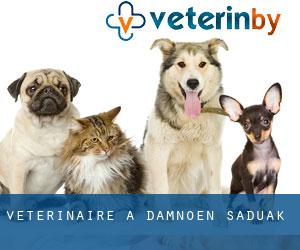 vétérinaire à Damnoen Saduak
