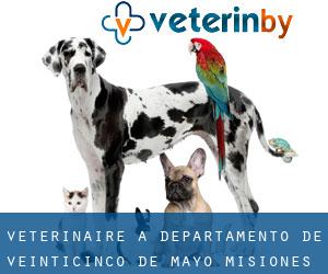 vétérinaire à Departamento de Veinticinco de Mayo (Misiones)