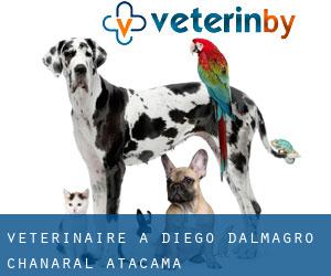 vétérinaire à Diego d'Almagro (Chañaral, Atacama) vétérinaire à Diego d'Almagro (Chañaral, Atacama)