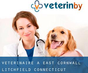 vétérinaire à East Cornwall (Litchfield, Connecticut)