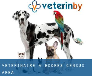 vétérinaire à Écores (census area)