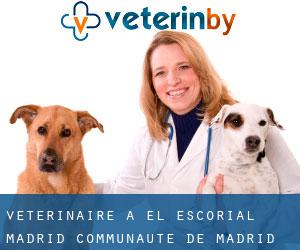 vétérinaire à El Escorial (Madrid, Communauté de Madrid)