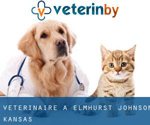 vétérinaire à Elmhurst (Johnson, Kansas)