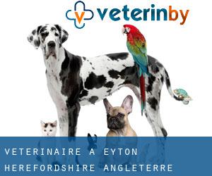 vétérinaire à Eyton (Herefordshire, Angleterre)