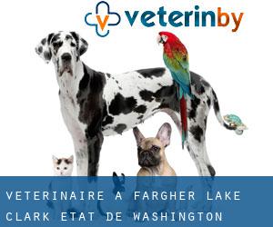vétérinaire à Fargher Lake (Clark, État de Washington)