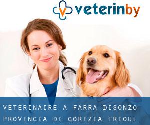 vétérinaire à Farra d'Isonzo (Provincia di Gorizia, Frioul-Vénétie julienne)