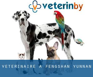 vétérinaire à Fengshan (Yunnan)