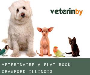 vétérinaire à Flat Rock (Crawford, Illinois)
