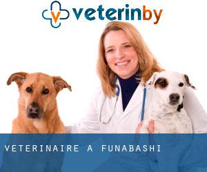 vétérinaire à Funabashi vétérinaire à Funabashi