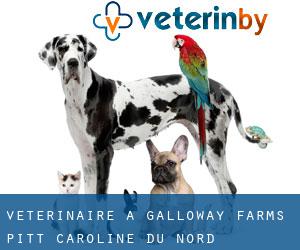 vétérinaire à Galloway Farms (Pitt, Caroline du Nord)