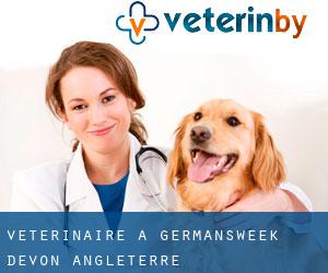vétérinaire à Germansweek (Devon, Angleterre)