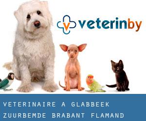 vétérinaire à Glabbeek-Zuurbemde (Brabant-Flamand, Région Flamande)
