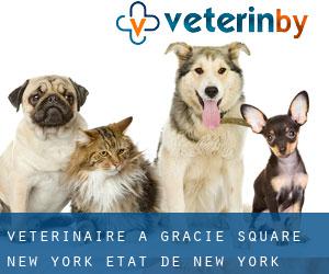 vétérinaire à Gracie Square (New York, État de New York)