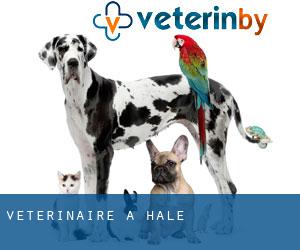 vétérinaire à Hale