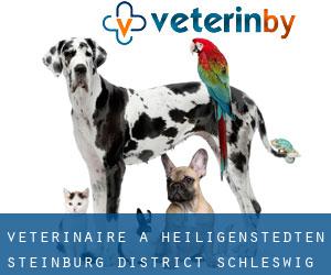 vétérinaire à Heiligenstedten (Steinburg District, Schleswig-Holstein)