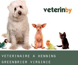 vétérinaire à Henning (Greenbrier, Virginie-Occidentale)
