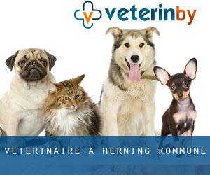 vétérinaire à Herning Kommune