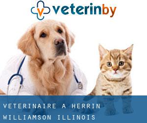 vétérinaire à Herrin (Williamson, Illinois)
