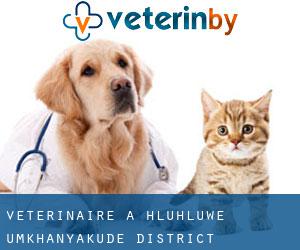 vétérinaire à Hluhluwe (uMkhanyakude District Municipality, KwaZulu-Natal)
