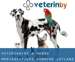 vétérinaire à Hobro (Mariagerfjord Kommune, Jutland-du-Nord)