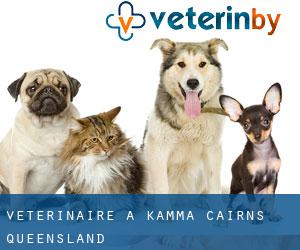 vétérinaire à Kamma (Cairns, Queensland)