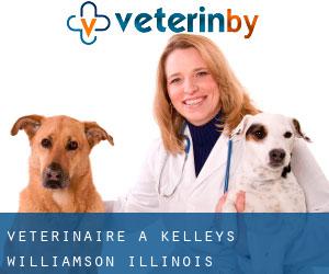 vétérinaire à Kelleys (Williamson, Illinois)