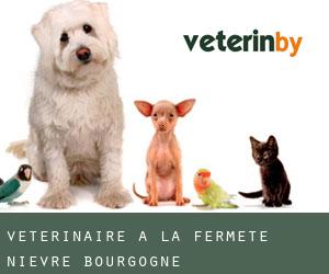 vétérinaire à La Fermeté (Nièvre, Bourgogne)