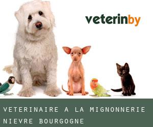 vétérinaire à La Mignonnerie (Nièvre, Bourgogne)