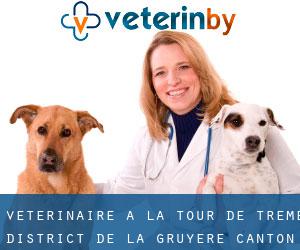 vétérinaire à La Tour-de-Trême (District de la Gruyère, Canton de Fribourg)