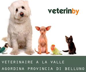 vétérinaire à La Valle Agordina (Provincia di Belluno, Vénétie)