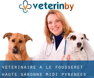 vétérinaire à Le Fousseret (Haute-Garonne, Midi-Pyrénées)