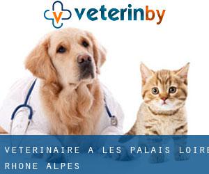 vétérinaire à Les Palais (Loire, Rhône-Alpes)