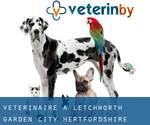 vétérinaire à Letchworth Garden City (Hertfordshire, Angleterre)
