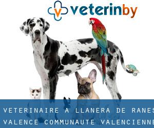 vétérinaire à Llanera de Ranes (Valence, Communauté Valencienne)