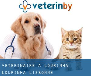 vétérinaire à Lourinha (Lourinhã, Lisbonne)