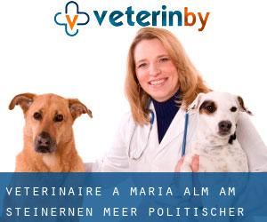 vétérinaire à Maria Alm am Steinernen Meer (Politischer Bezirk Zell am See, Salzbourg)