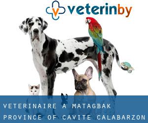 vétérinaire à Matagbak (Province of Cavite, Calabarzon)
