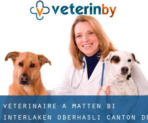 vétérinaire à Matten b.I. (Interlaken-Oberhasli, Canton de Berne)