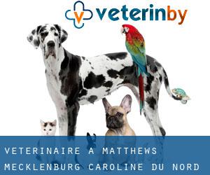 vétérinaire à Matthews (Mecklenburg, Caroline du Nord)