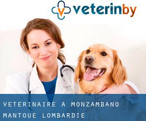 vétérinaire à Monzambano (Mantoue, Lombardie)