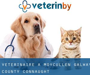 vétérinaire à Moycullen (Galway County, Connaught)
