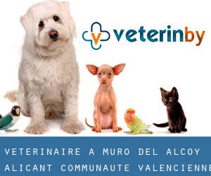 vétérinaire à Muro del Alcoy (Alicant, Communauté Valencienne)