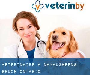 vétérinaire à Nayausheeng (Bruce, Ontario)