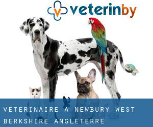 vétérinaire à Newbury (West Berkshire, Angleterre) vétérinaire à Newbury (West Berkshire, Angleterre)