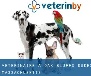 vétérinaire à Oak Bluffs (Dukes, Massachusetts)